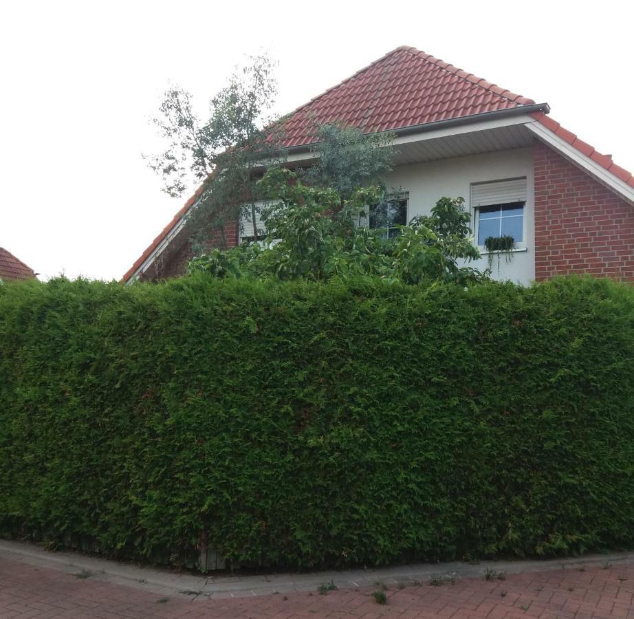 Ruhiges Zimmer Direkt An Den Leineauen ヘンミンゲン エクステリア 写真