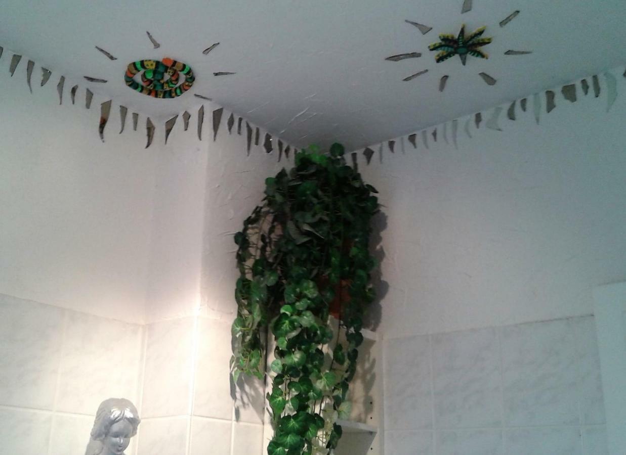 Ruhiges Zimmer Direkt An Den Leineauen ヘンミンゲン エクステリア 写真